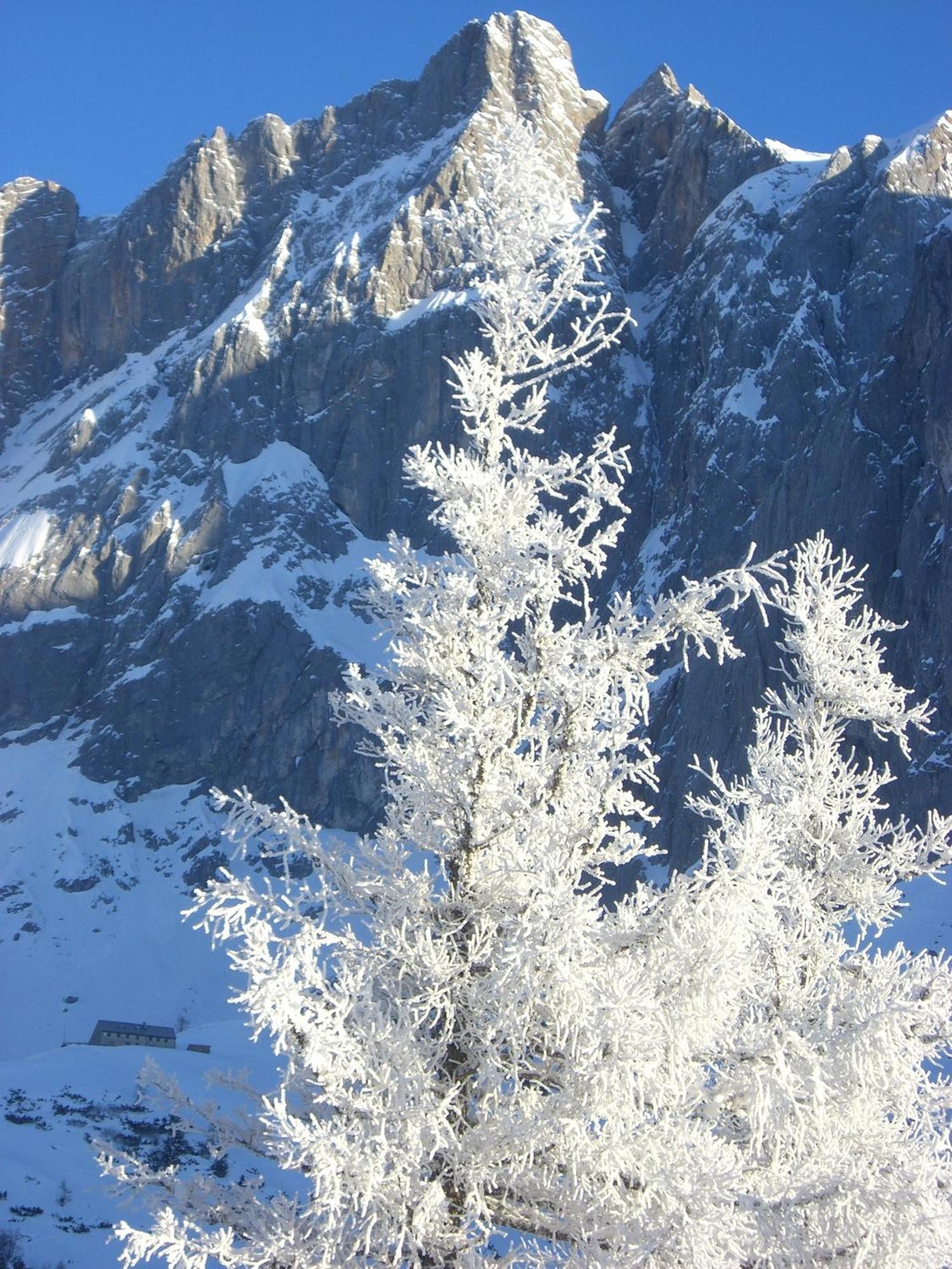 Hotel Gasthof Hunerkogel Ramsau am Dachstein Zewnętrze zdjęcie