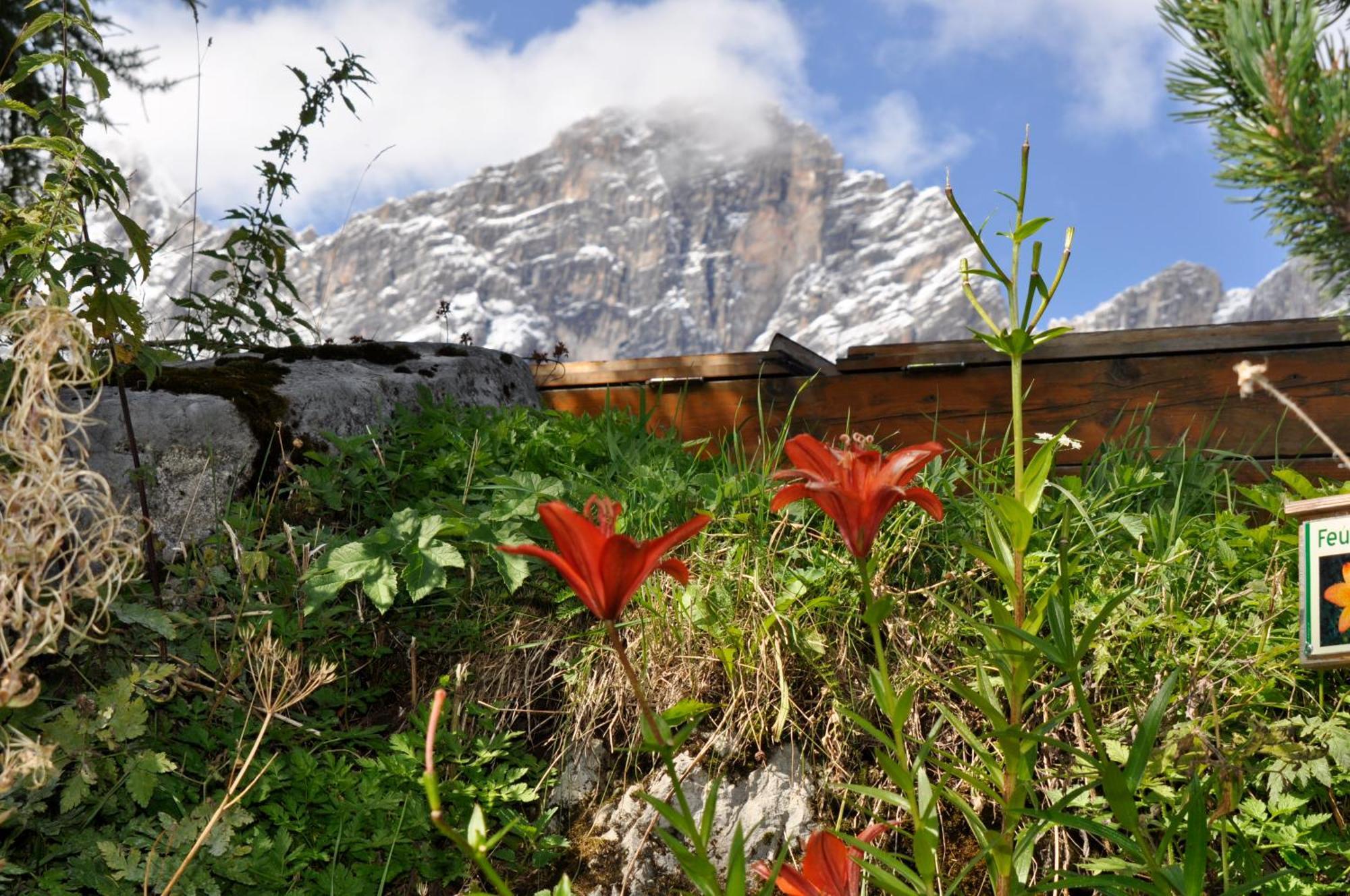 Hotel Gasthof Hunerkogel Ramsau am Dachstein Zewnętrze zdjęcie